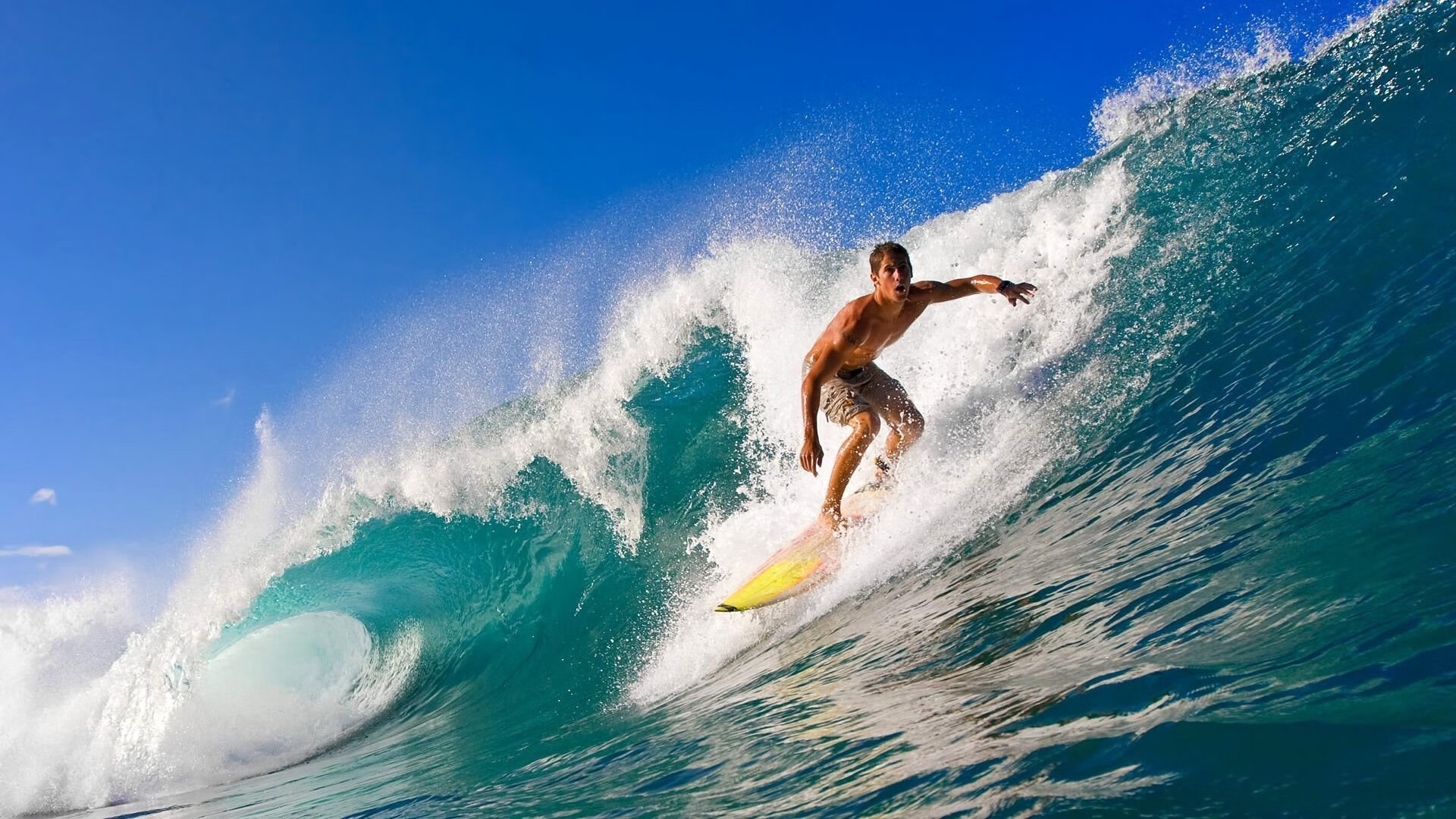 球迷见面会气氛热烈